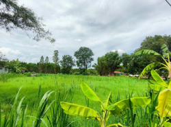 รถมือสอง อสังหาริมทรัพย์ ที่ดิน ปี 0 